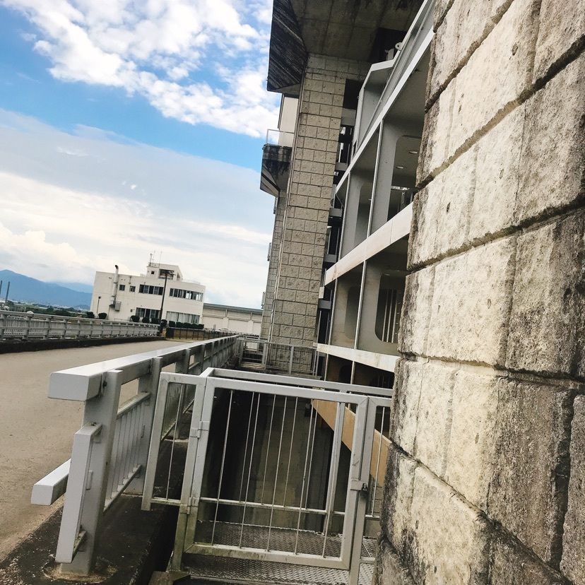 猫なぎ。さんが投稿した最上川（山形県村山市）に関する口コミの画像