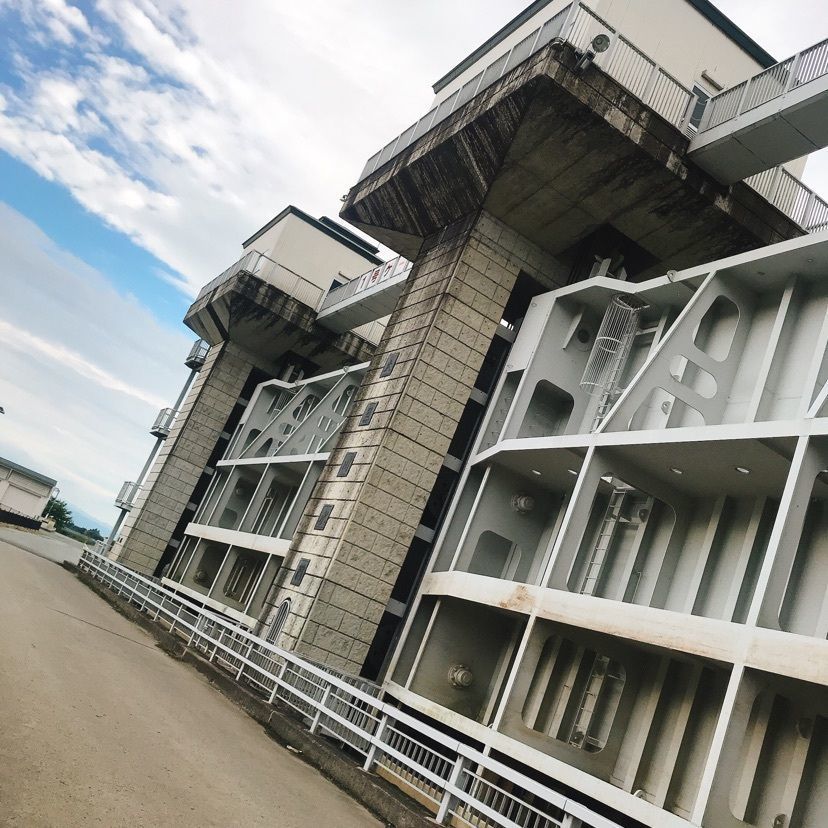 猫なぎ。さんが投稿した最上川（山形県村山市）に関する口コミの画像