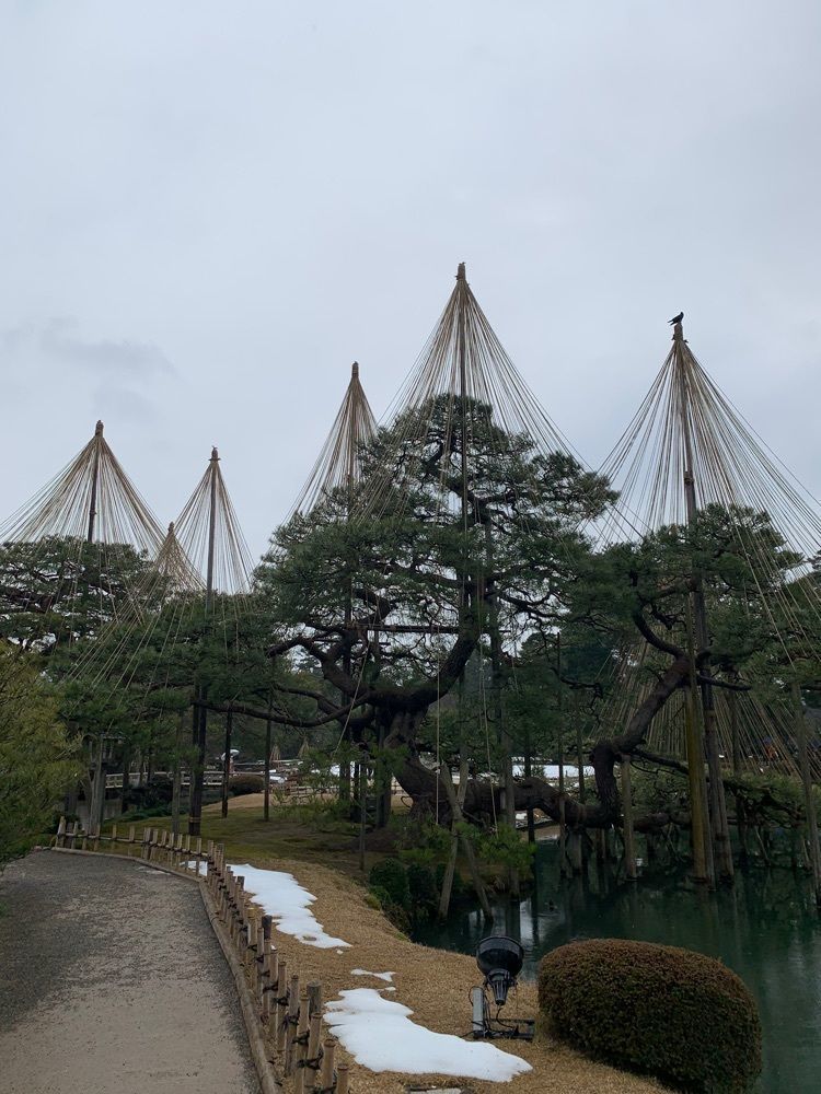 影の戦闘隊さんが投稿した時雨亭（兼六園）に関する口コミの画像