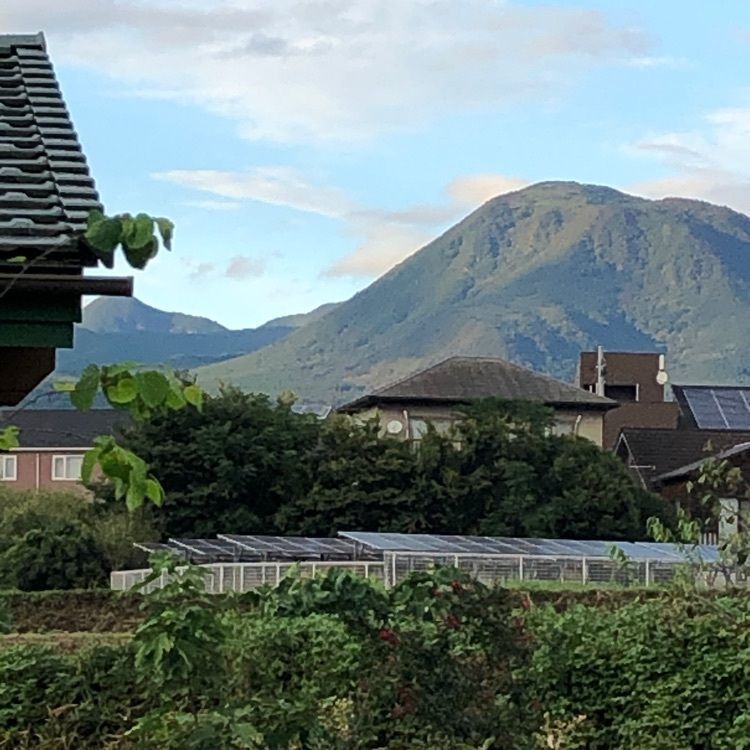kumachan31さんが投稿した大川食堂に関する口コミの画像
