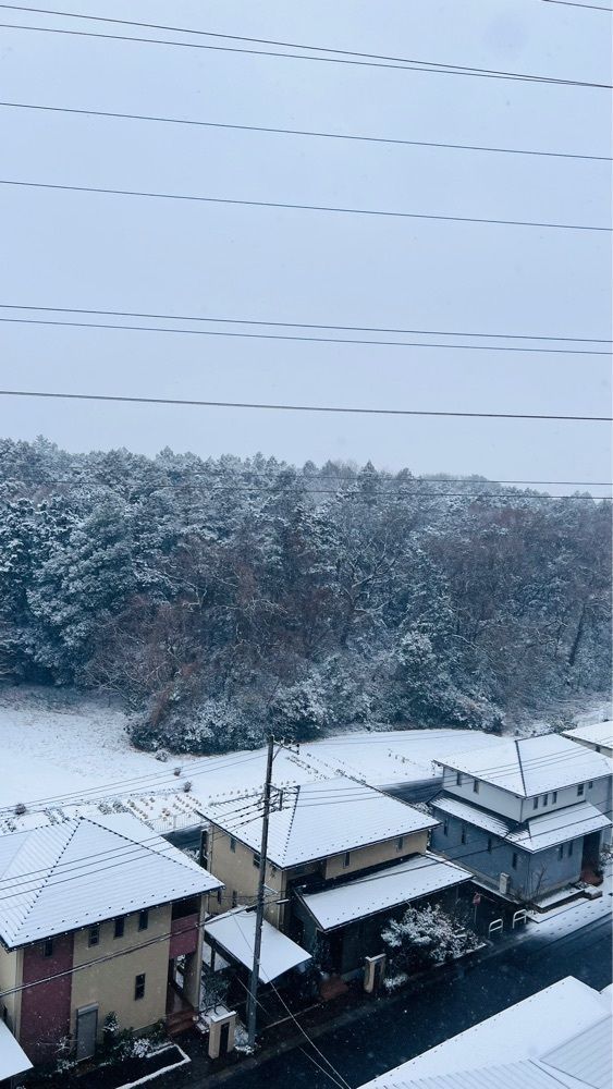 miiさんが投稿した埼玉屋に関する口コミの画像