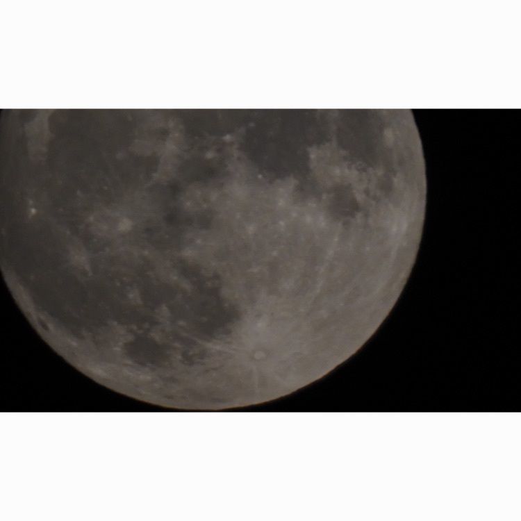 jamesさんが投稿したコニカミノルタプラネタリウム"満天"in SunshineCityに関する口コミの画像