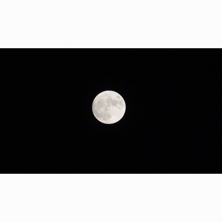 jamesさんが投稿したコニカミノルタプラネタリウム"満天"in SunshineCityに関する口コミの画像