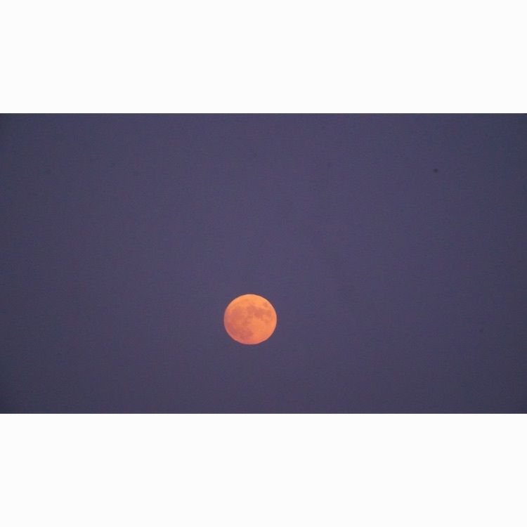 jamesさんが投稿したコニカミノルタプラネタリウム"満天"in SunshineCityに関する口コミの画像