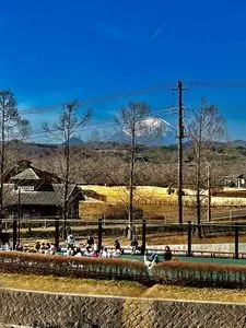 中井中央公園