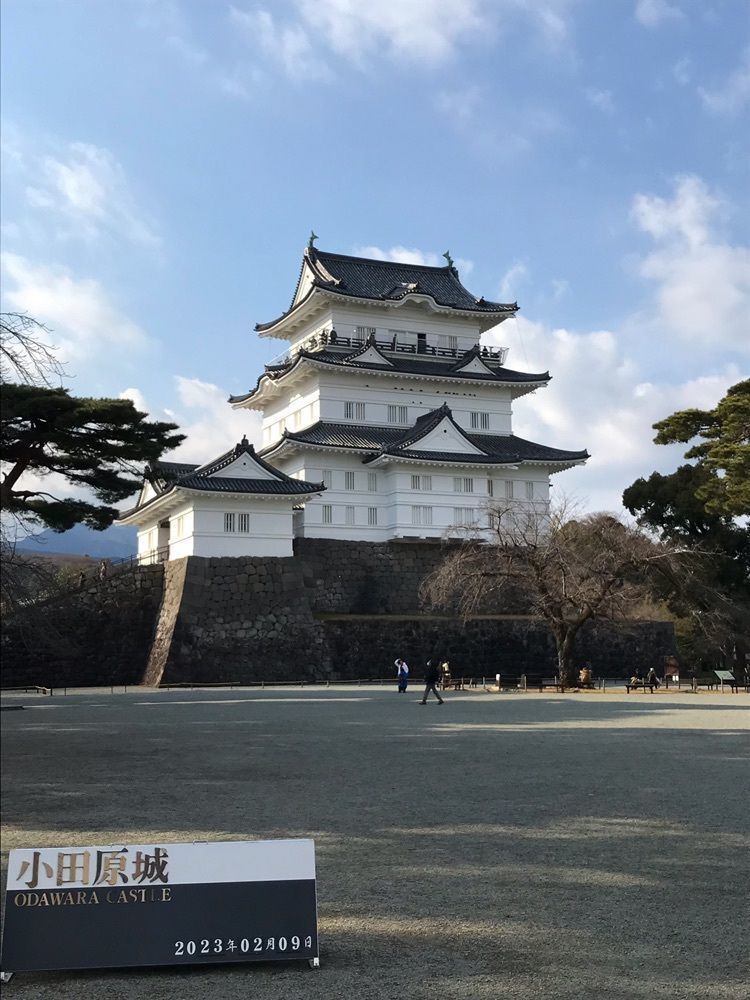 MICHIさんが投稿した小田原城址公園の梅に関する口コミの画像