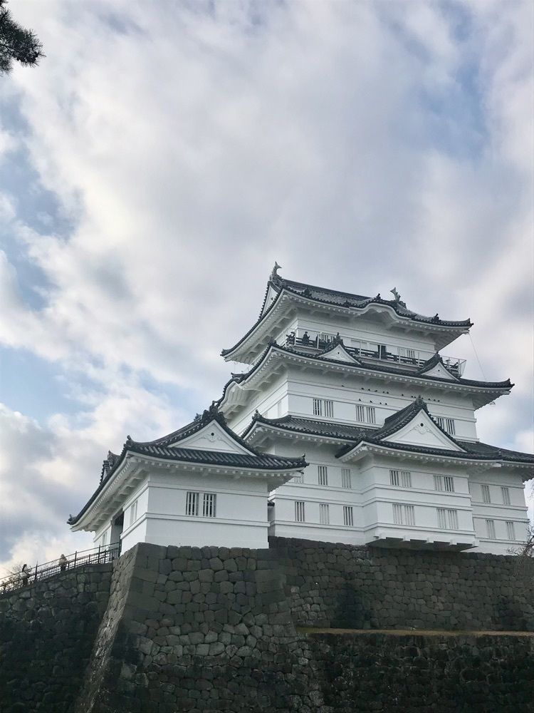 MICHIさんが投稿した小田原城址公園の梅に関する口コミの画像