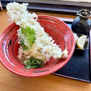 本格手打ちうどん もり