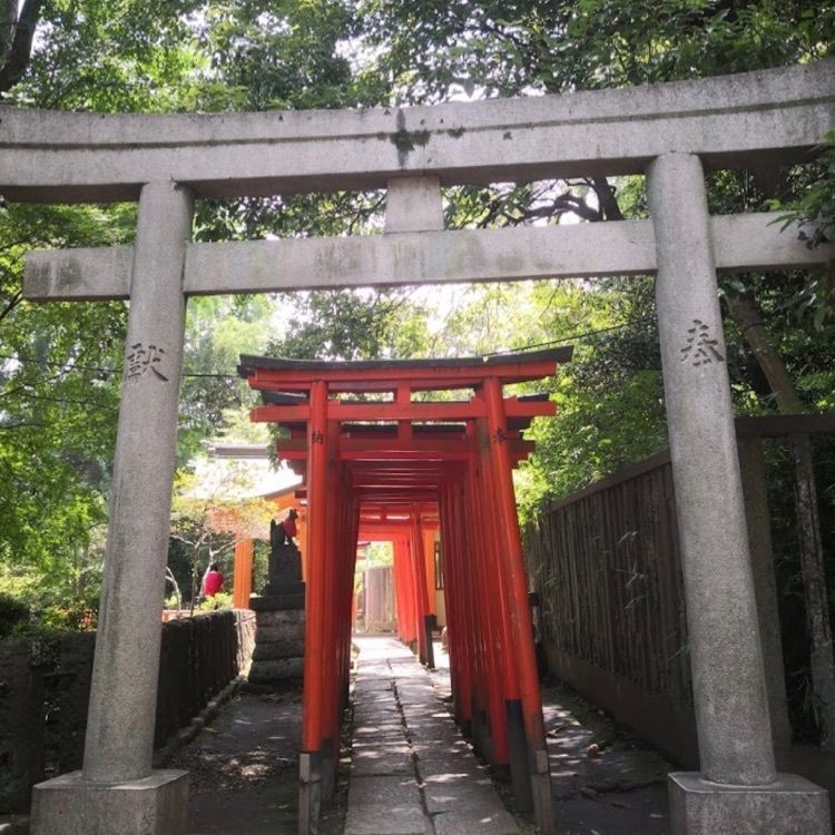 ＤＪゴン太さんが投稿した根津神社に関する口コミの画像