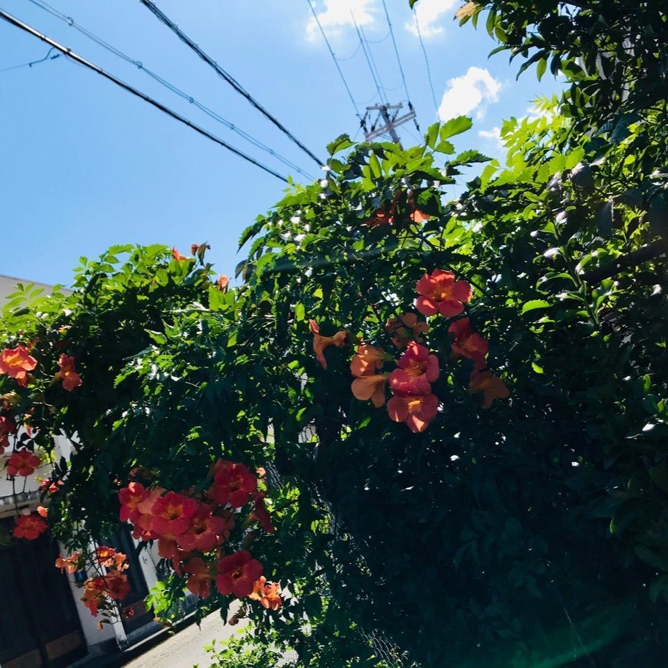 ＫMＴKさんが投稿した新宮市に関する口コミの画像