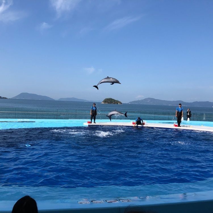 んちゃさんが投稿した宇多津町に関する口コミの画像