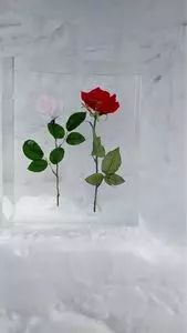 もんべつ流氷まつり 3枚目