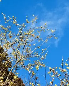 羽黒山（栃木県宇都宮市）