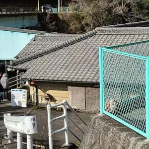 谷川米穀店（たにかわべいこくてん） 1枚目