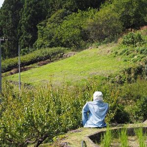 四谷千枚田 6枚目