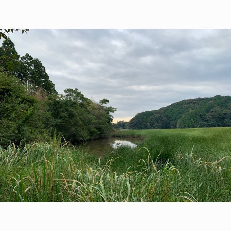 Howl Monさんが投稿した鶴ケ池に関する口コミの画像