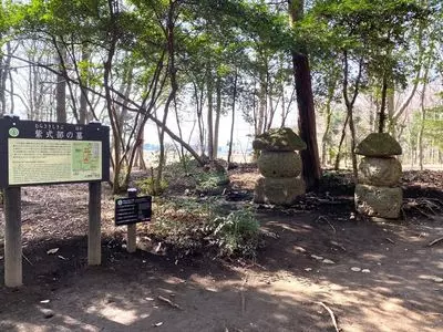 テン ピクニック テーブルス（10 picnic tables）