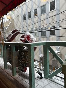 イタリア食堂 キャンティ ヴォーノ(CHIANTI-BUONO) 7枚目