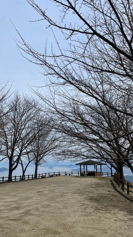 みぃさんが投稿した紫雲出山展望台に関する口コミの画像