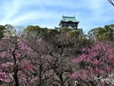 豊臣秀頼・淀殿ら自刃の地の碑