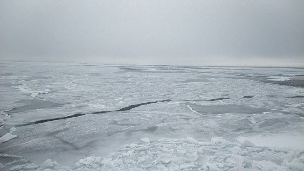 Howl Monさんが投稿した流氷砕氷船 ガリンコ号2に関する口コミの画像