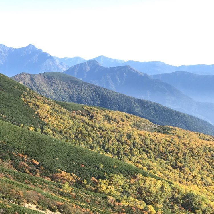 なかさんさんさんが投稿した乗鞍岳の紅葉に関する口コミの画像