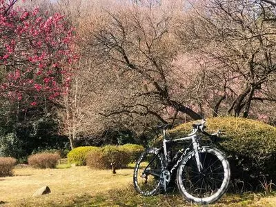 滝の城址公園