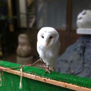 かじか苑 6枚目