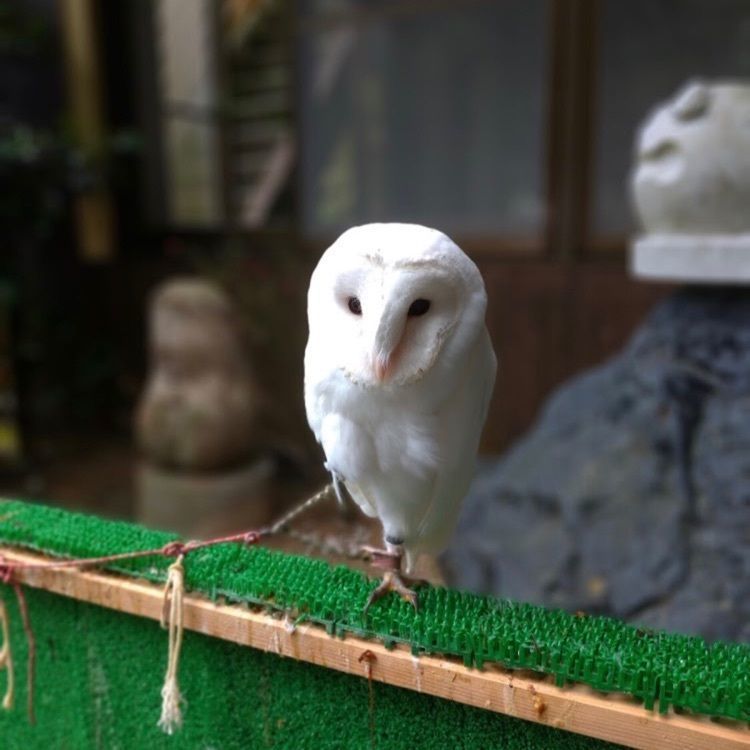 ＤＪゴン太さんが投稿したかじか苑に関する口コミの画像