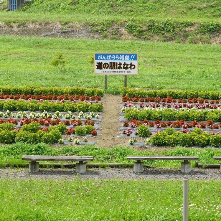 ＤＪゴン太さんが投稿した道の駅 はなわ天領の郷に関する口コミの画像