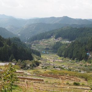 四谷千枚田 5枚目