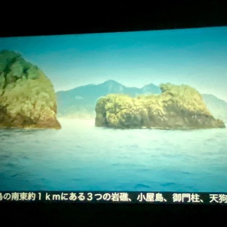 Rhapsodyさんが投稿した海の道むなかた館に関する口コミの画像