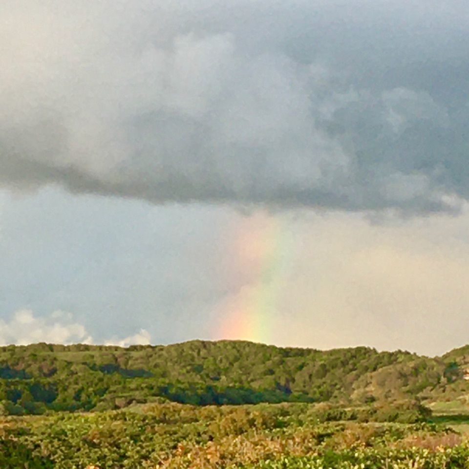 yoshiさんが投稿した夕日が丘パーキングに関する口コミの画像
