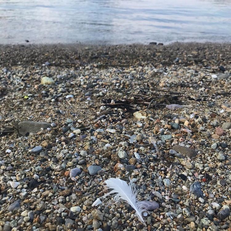 ruujunさんが投稿した香住　柴山温泉　かめやに関する口コミの画像