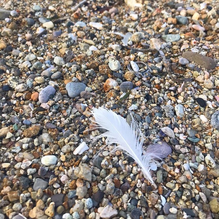 ruujunさんが投稿した香住　柴山温泉　かめやに関する口コミの画像