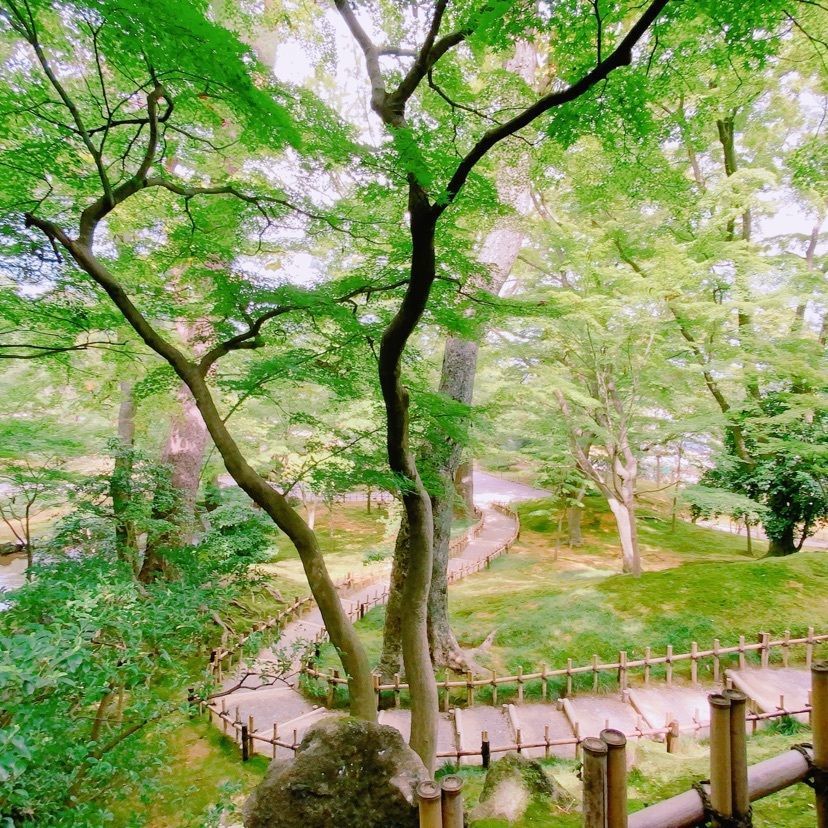鉄道こまちさんが投稿した曲水（兼六園）に関する口コミの画像