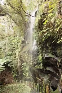 為朝神社（東京都八丈島八丈町）