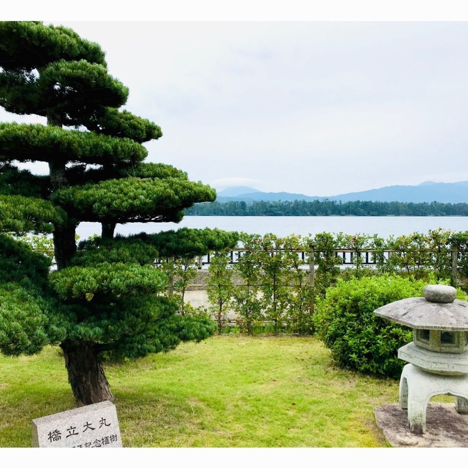 ＫMＴKさんが投稿した橋立大丸に関する口コミの画像