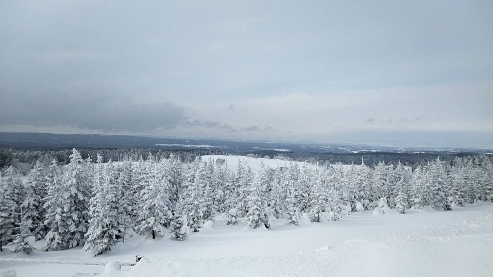 Howl Monさんが投稿した道の駅 ぐるっとパノラマ美幌峠に関する口コミの画像