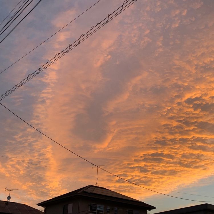 nori_sakikakeさんが投稿した花崎駅に関する口コミの画像