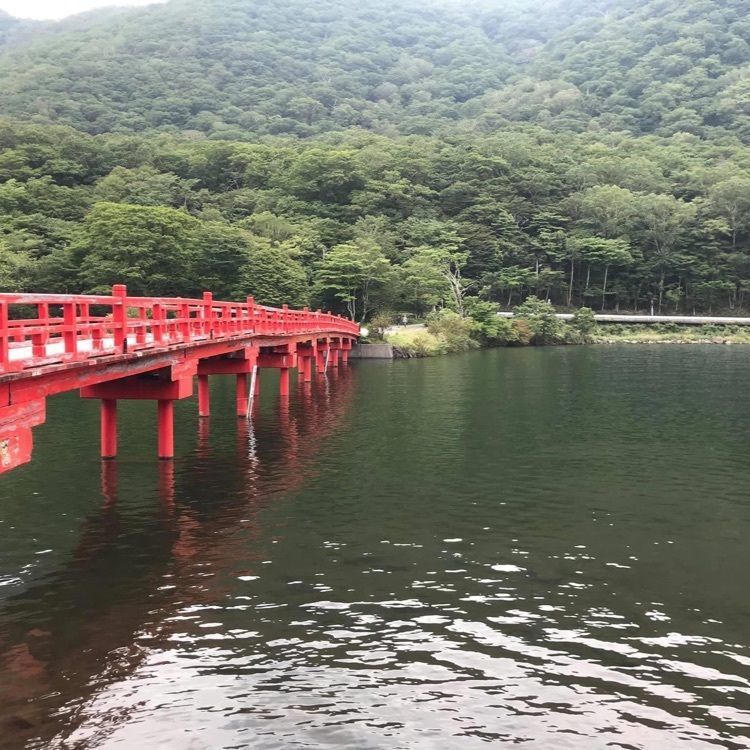 ＤＪゴン太さんが投稿した赤城大沼のわかさぎつりに関する口コミの画像