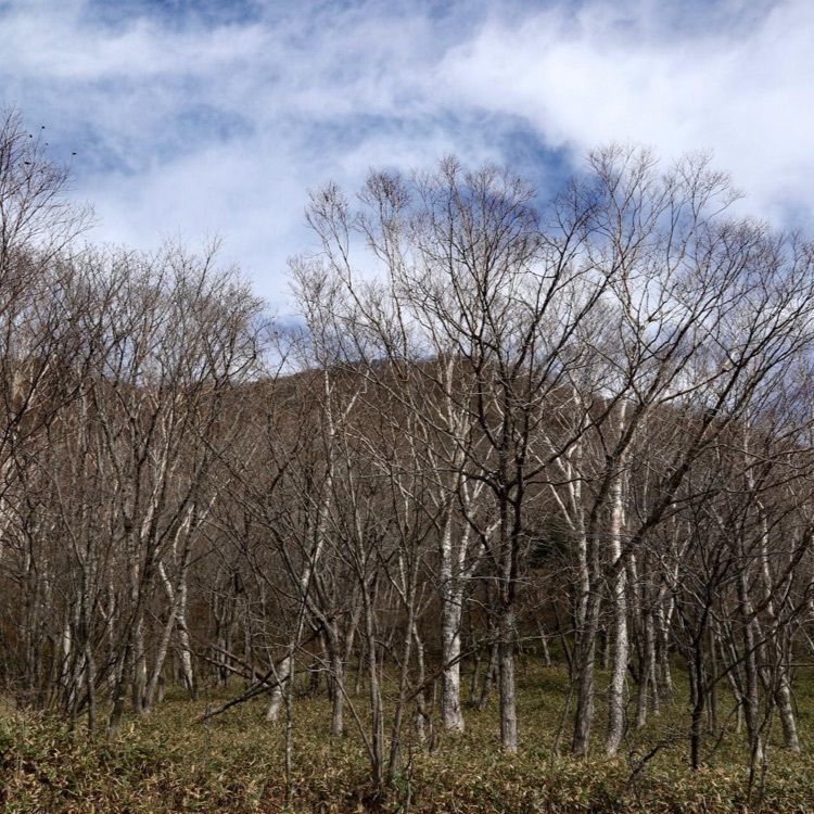 ＤＪゴン太さんが投稿した赤城大沼のわかさぎつりに関する口コミの画像