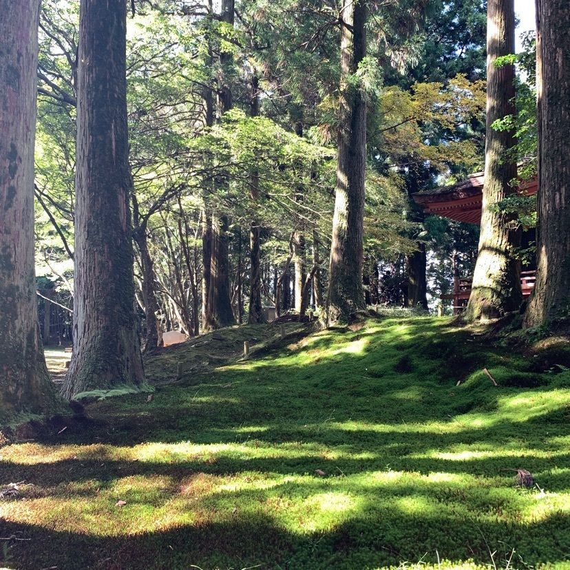 makiさんが投稿した比叡山(延岡市)に関する口コミの画像