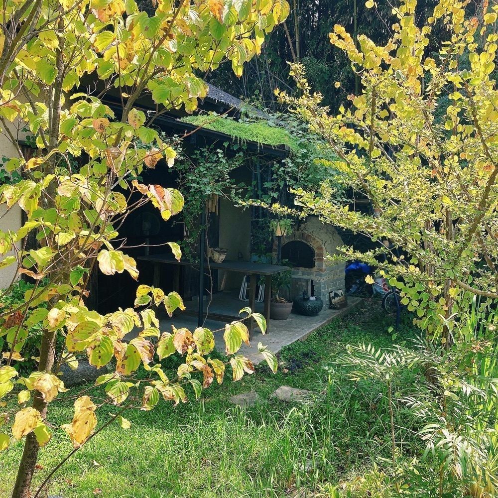 satsukichi828さんが投稿した樸木（自家製天然酵母パン、ケーキ、ベジタリアンごはんの店）に関する口コミの画像