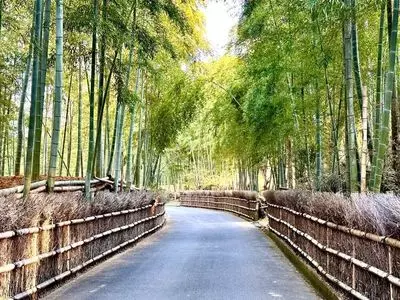 京都市洛西竹林公園