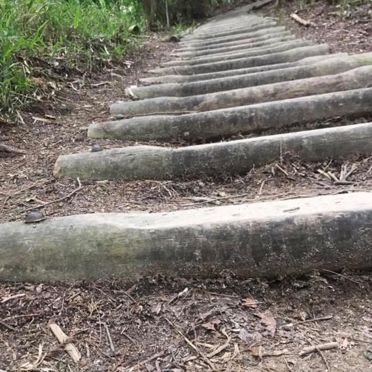 kazuさんが投稿した金剛山（奈良県御所市）に関する口コミの画像