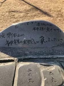 山上城跡公園のロウバイ