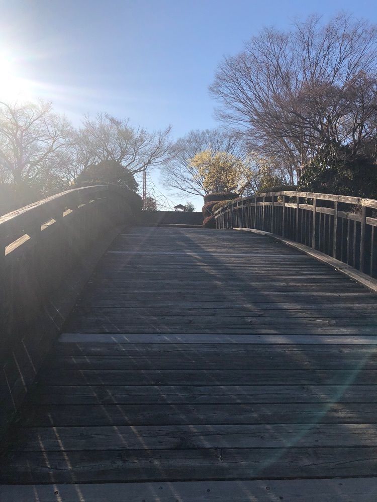 からっ風②さんが投稿した山上城跡公園のロウバイに関する口コミの画像