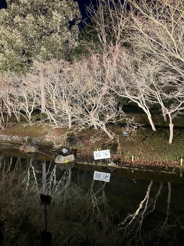 YYY🌈TOKYOさんが投稿したなばなの里　村の市に関する口コミの画像