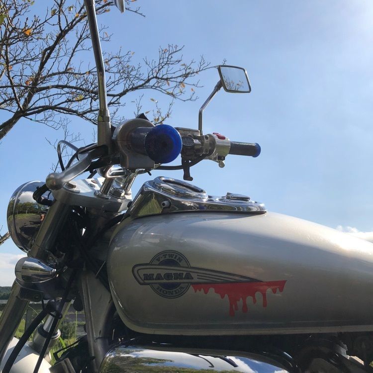 jjkazuさんが投稿した若宮公園に関する口コミの画像